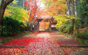 6423-autumn-in-japan