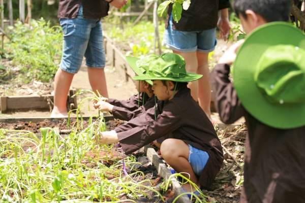 Du Khảo Xanh - Cơ Quan Tổng Công Ty Điện Lực Miền Nam Tháng 05 - Năm 2019