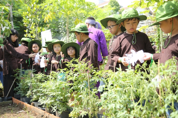 Du Khảo Xanh - Cơ Quan Tổng Công Ty Điện Lực Miền Nam Tháng 05 - Năm 2019