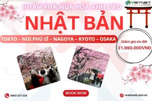 DU LỊCH NHẬT BẢN: TOKYO – NÚI PHÚ SĨ – NAGOYA – KYOTO – OSAKA