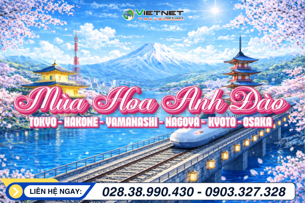 HOA ANH ĐÀO NHẬT BẢN 2026: TOKYO – YAMANASHI – ...