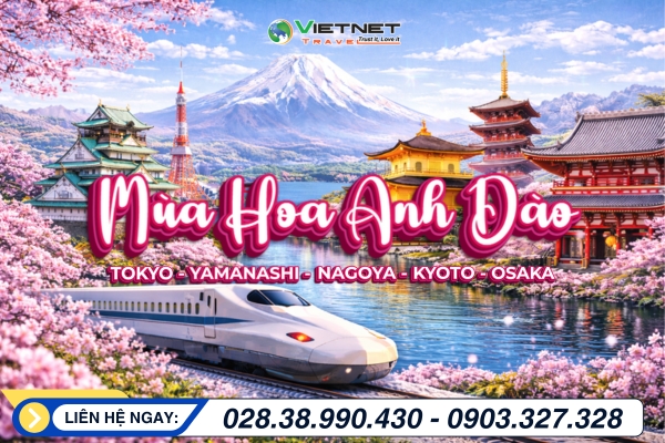 MÙA HOA ANH ĐÀO NHẬT BẢN 2026: TOKYO - YAMANASHI ...