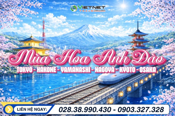 HOA ANH ĐÀO NHẬT BẢN 2026: TOKYO – YAMANASHI – ...