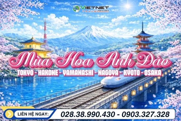 HOA ANH ĐÀO NHẬT BẢN 2026: TOKYO – YAMANASHI – ...