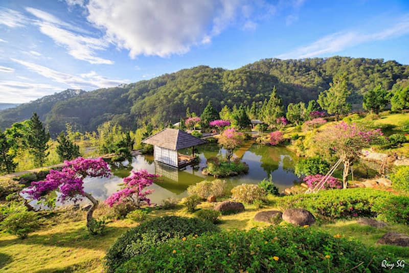 ĐÀ LẠT – THÁC DAMBRI – SAMTEN HILLS – ĐỒI CHÈ CẦU ...