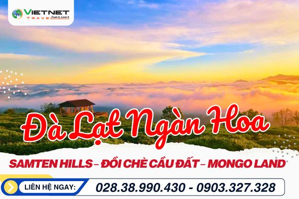 ĐÀ LẠT – THÁC DAMBRI – SAMTEN HILLS – ĐỒI CHÈ CẦU ĐẤT – MONGO LAND – HẦM VANG ĐÀ LẠT